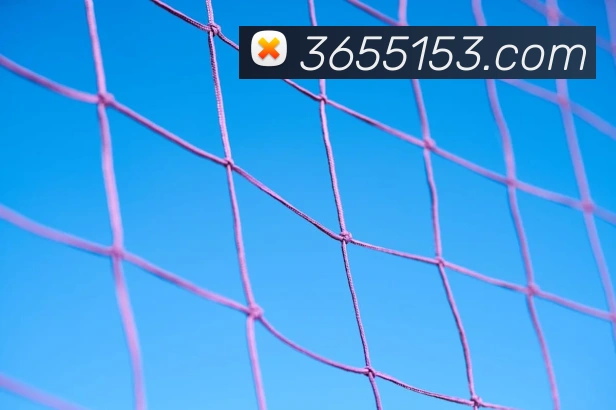 bet365品牌故事